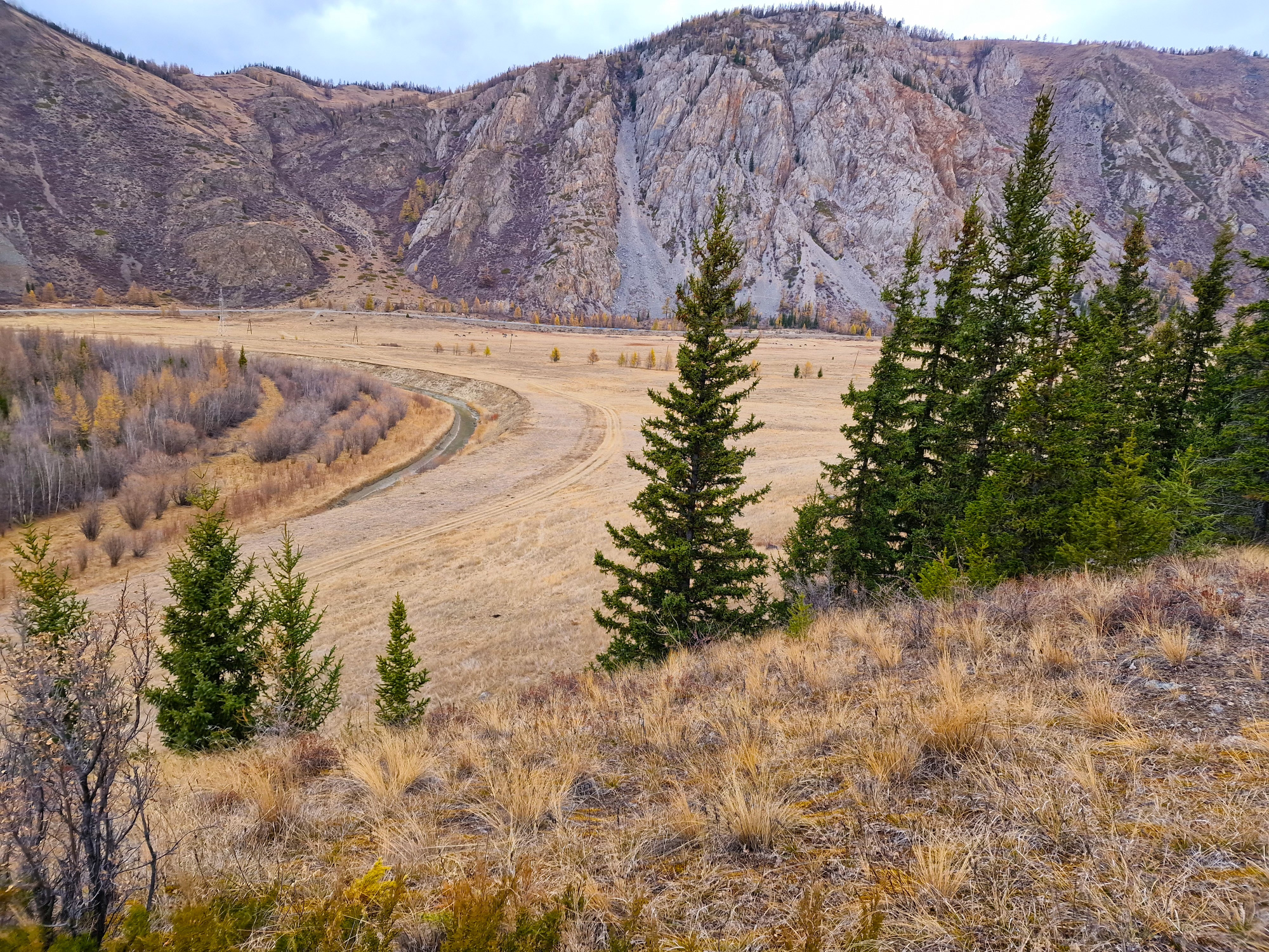 Купить Участок 25.71 соток (10-УЛР1) земельные участки Горного Алтая